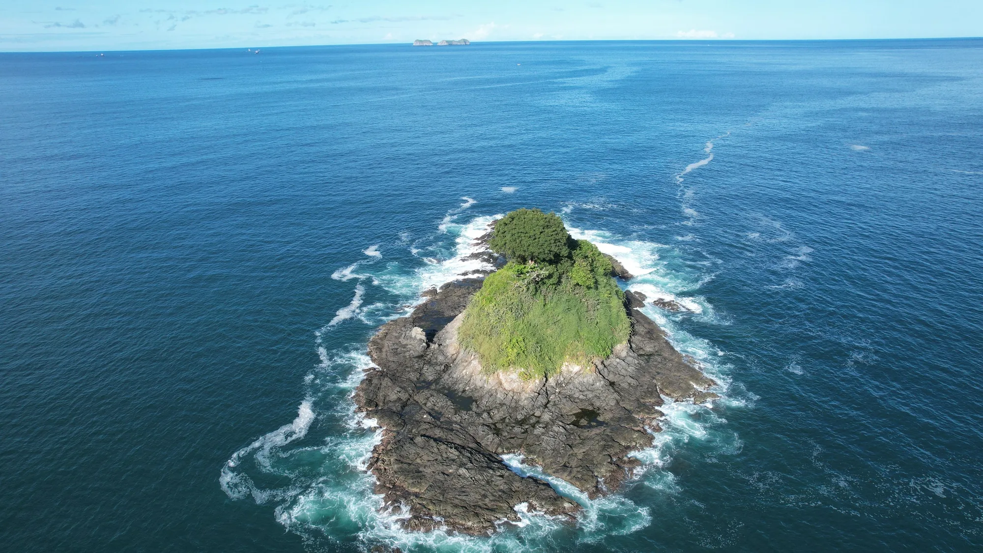 Pacific & Caribbean dive days